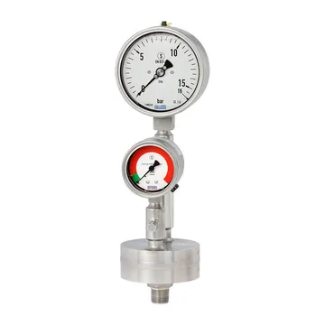 WIKA DMS34 Diaphragm monitoring system with threaded connection